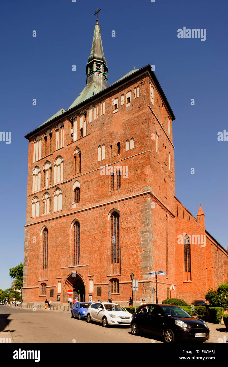 Kathedrale (Kollegiata N.P.Marii) in Kolobrzeg, Polen, Europa Stockfoto