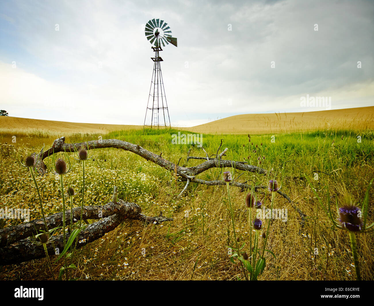 Eine Windmühle steht inmitten der Schönheit der sanften Hügel und gefallenen Zweige in Palouse Scenic Byway, Washington, Vereinigte Staaten von Amerika Stockfoto