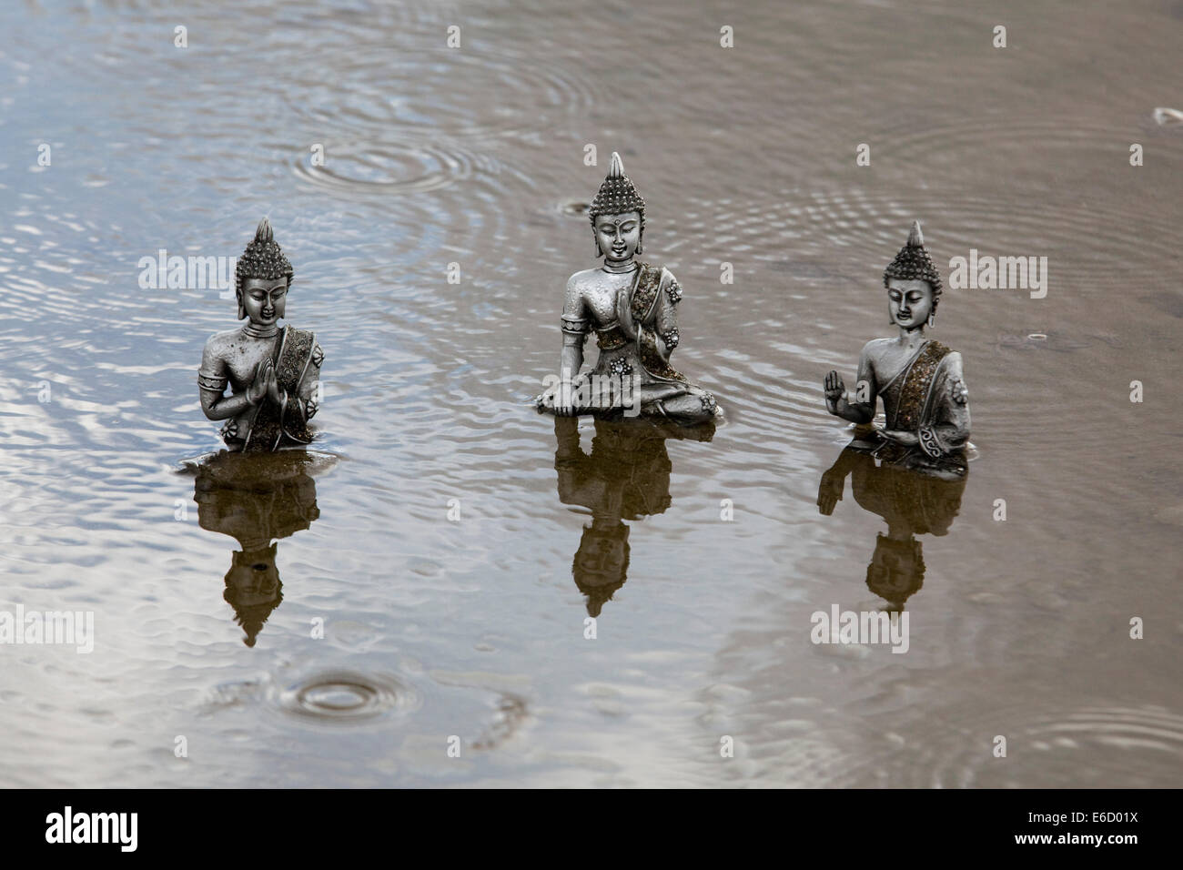 Drei Thai Buddha auf stilles Wasser Stockfoto