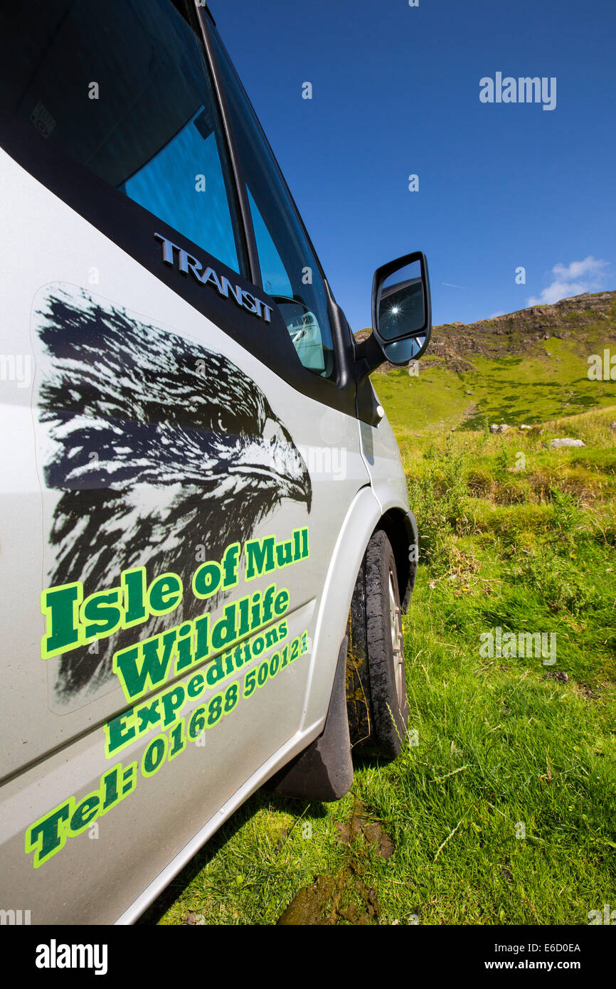 Eine Isle of Mull Wildlife Tour zeigt die Tierwelt der Inseln für Touristen, Isle of Mull, Schottland, UK. Stockfoto