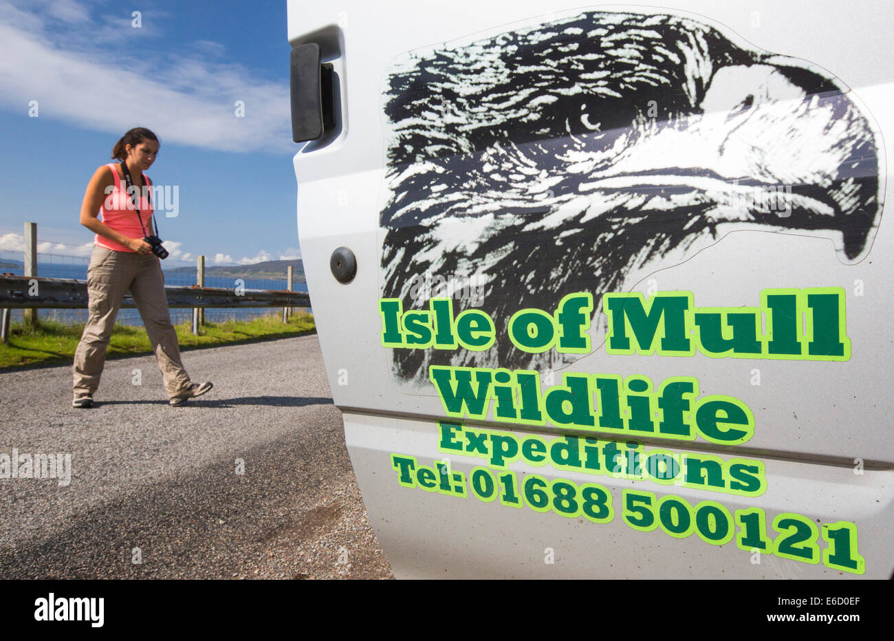 Eine Isle of Mull Wildlife Tour zeigt die Tierwelt der Inseln für Touristen, Isle of Mull, Schottland, UK. Stockfoto