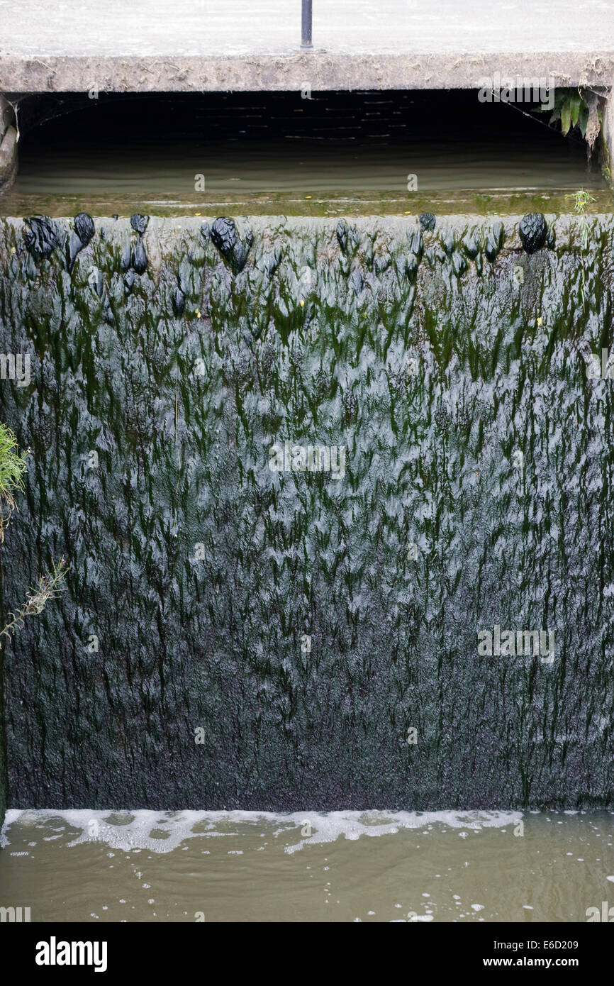 Überlauf-Gates auf den Hatton Schleusen auf dem Grand Union canal Stockfoto