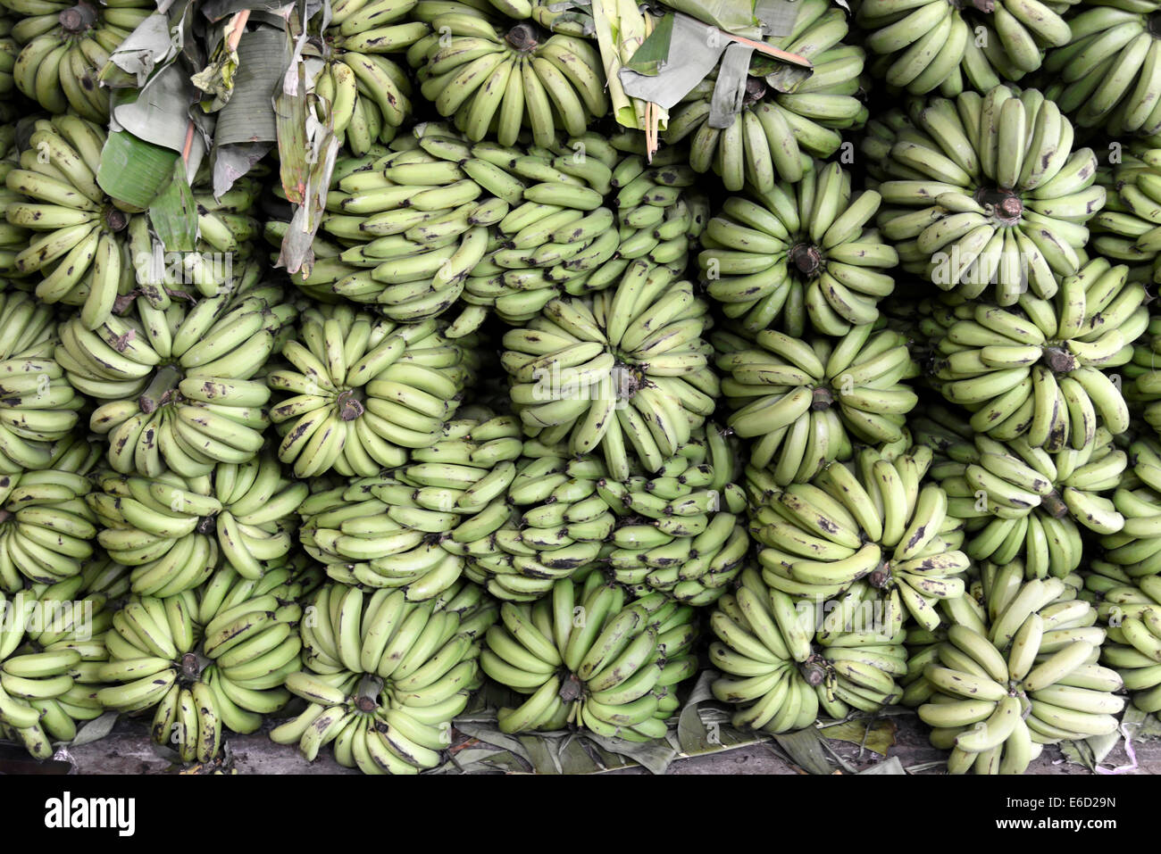Bananen zu verkaufen, Mysore, Karnataka, Südindien, Indien Stockfoto