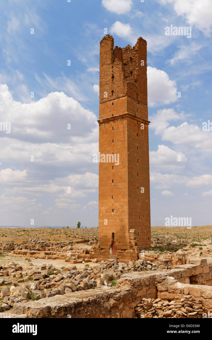 Ruinen der das Minarett der großen Moschee oder Ulu Camii, Harran, Şanlıurfa Provinz, Provinz Urfa, Südost-Anatolien-Region Stockfoto