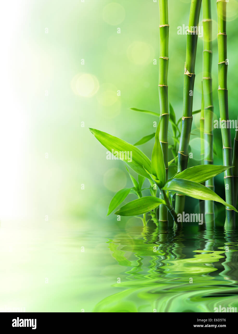 Bambus-Stiele auf Wasser - verwischt Stockfoto