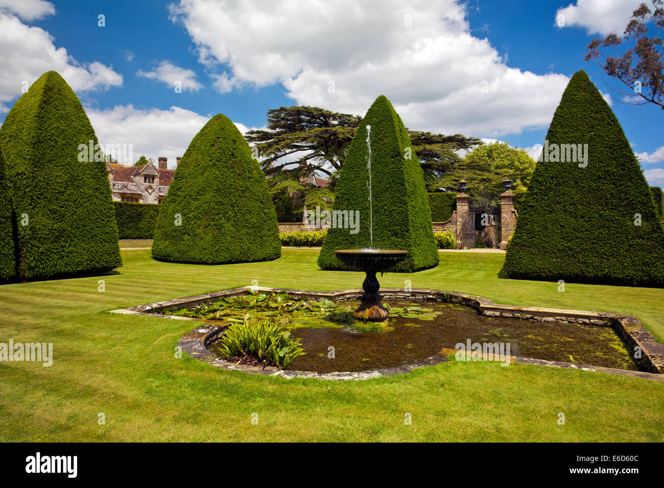 Abgeschnittene Eiben in der versunkene Garten des großen Hofs in Athelhampton House, Dorset, England, UK Stockfoto