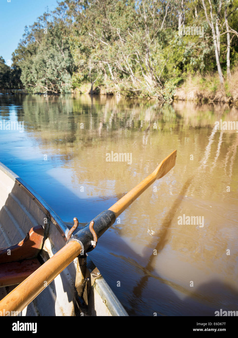 Rudern auf dem Yarra River in Melbourne, Australien Stockfoto