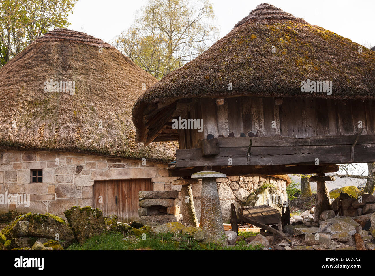 Traditionelles Gebäude. Piornedo. OS Ancares. Lugo. Galizien. Spanien. Europa2 Stockfoto