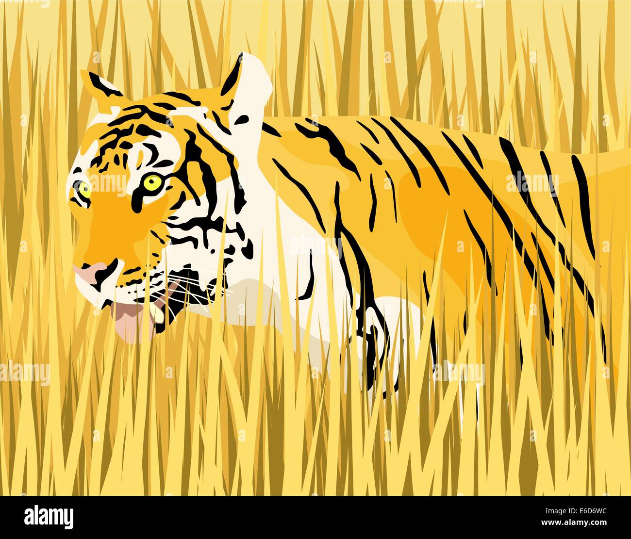 Vektor-Illustration eines Tigers in Trockenrasen mit Tiger und Grass als separate Elemente Stock Vektor