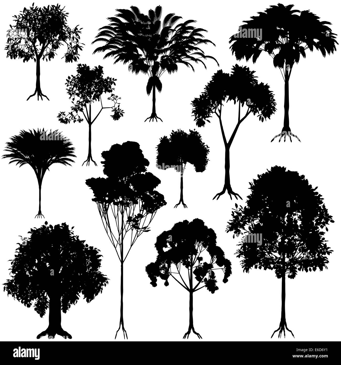 Satz von bearbeitbaren Vector generischen Baum Silhouetten Stock Vektor