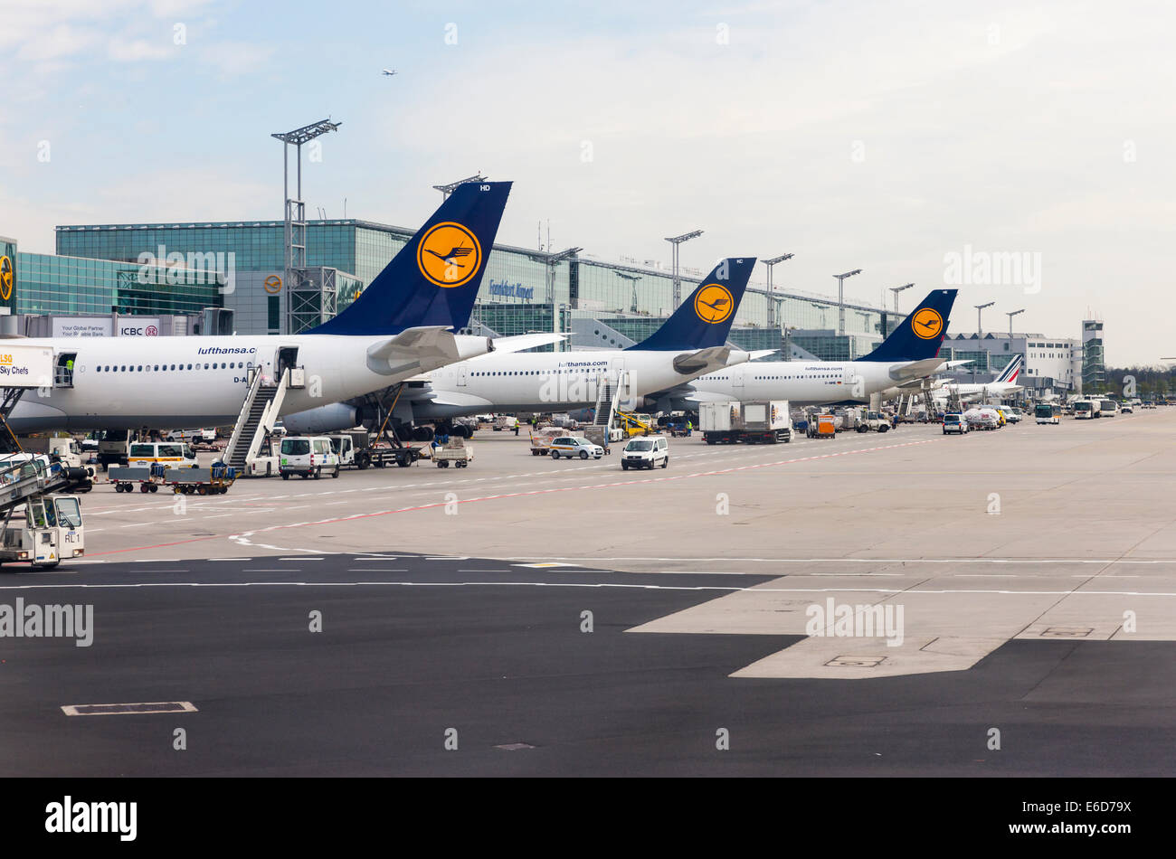 Deutschland, Hessen, Frankfurt am Main, Flugzeuge der Lufthansa am Passagierterminal Stockfoto