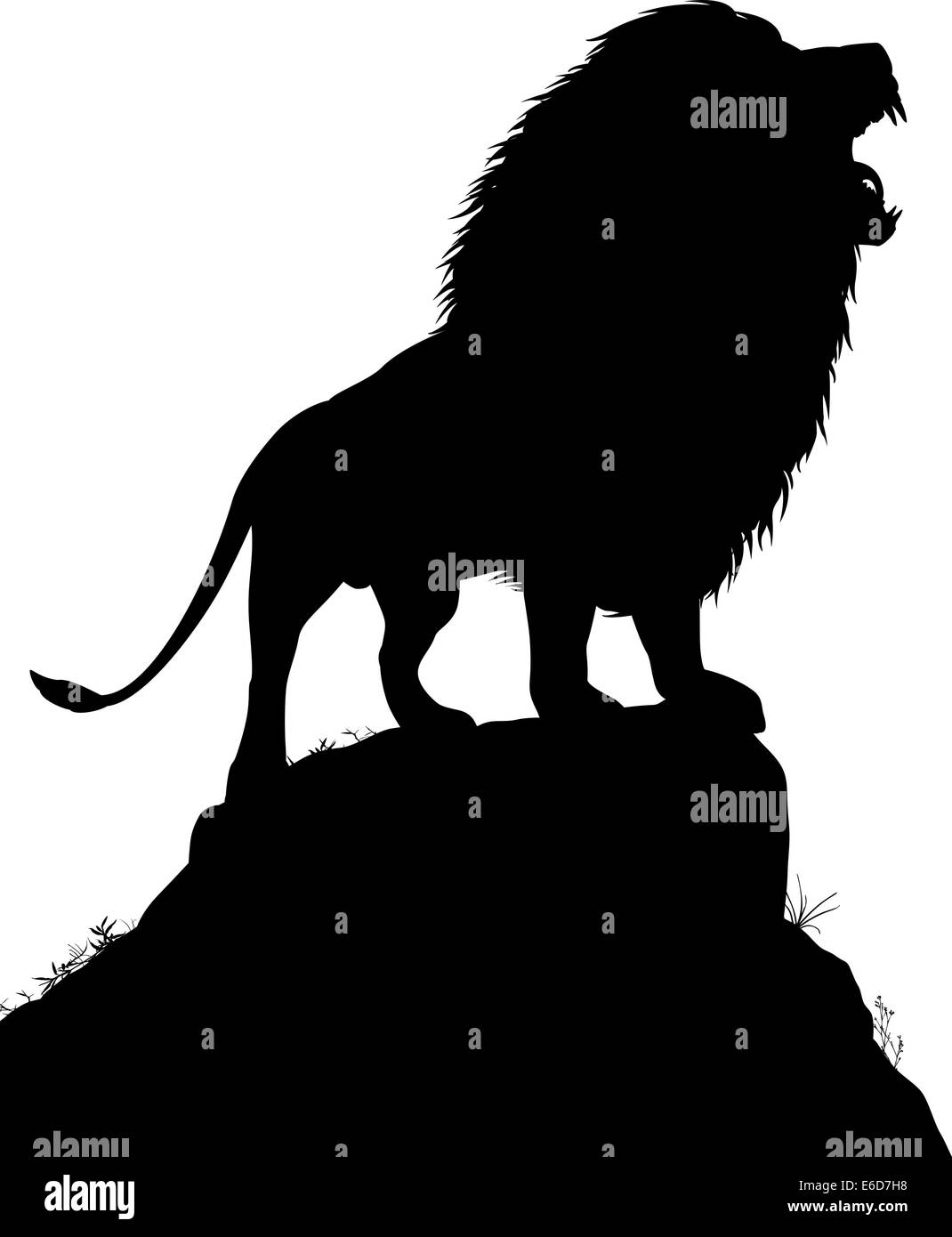 Bearbeitbares Vektor Silhouette ein brüllender männlicher Löwe steht auf einem Felsvorsprung mit Löwen als separates Objekt Stock Vektor