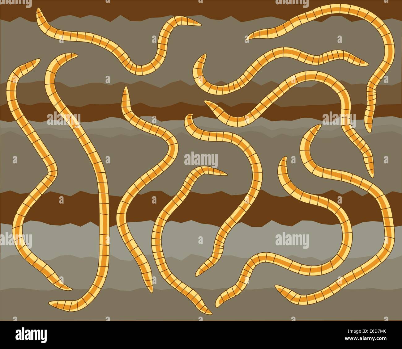 Vektor-Illustration von Regenwürmern im Boden Stock Vektor