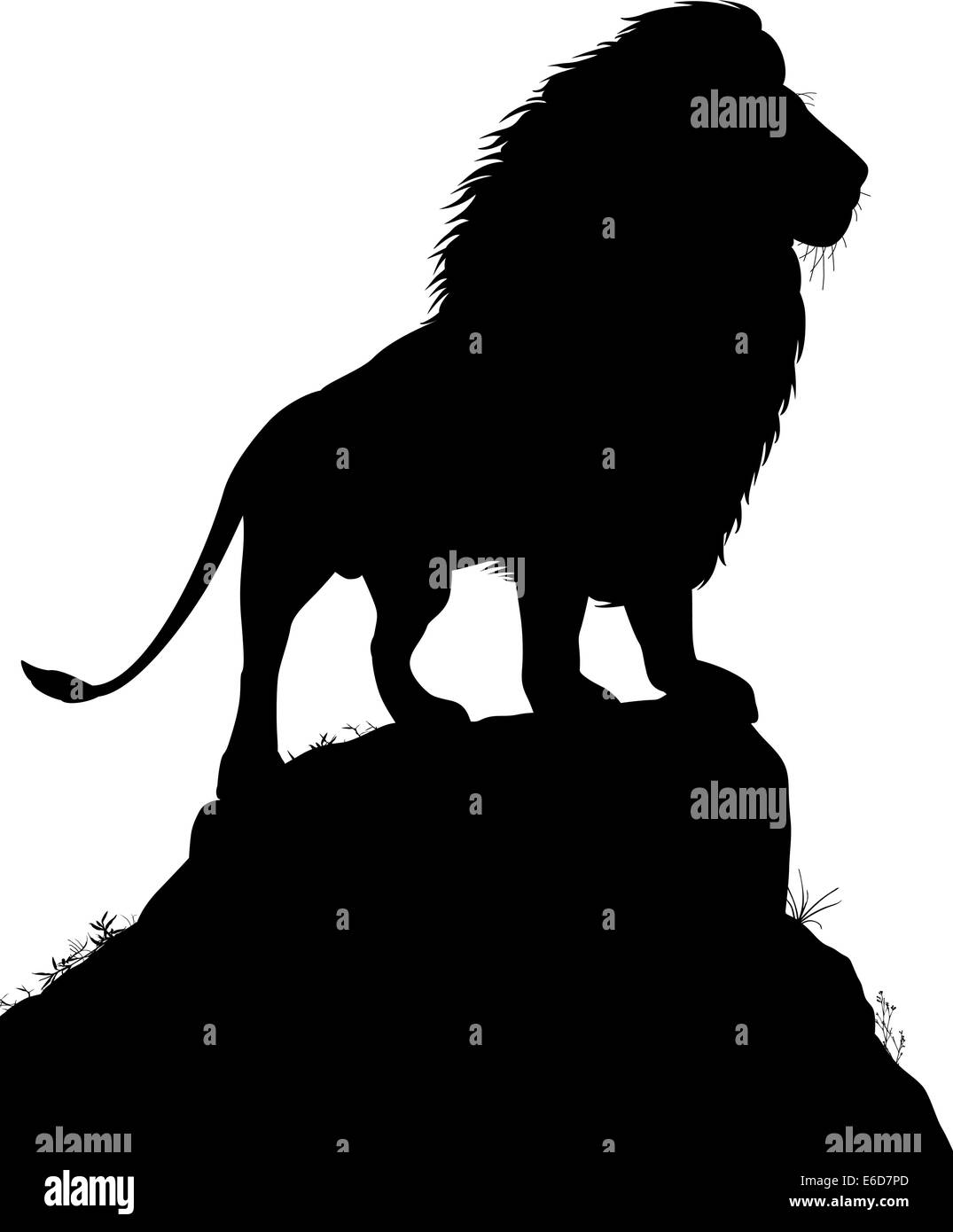 Bearbeitbares Vektor Silhouette ein männlicher Löwe steht auf einem Felsvorsprung mit Löwen als separates Objekt Stock Vektor