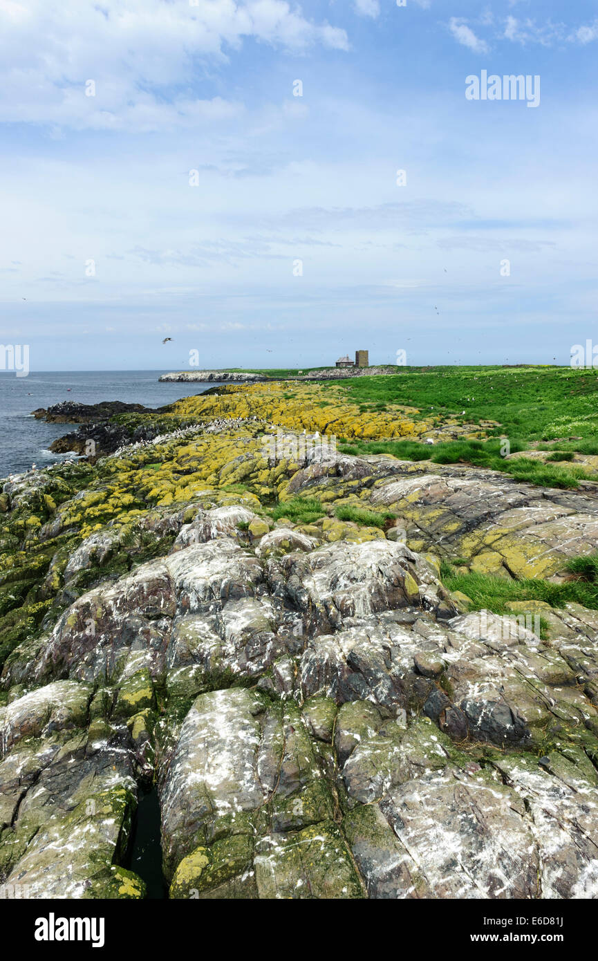 Heftklammer-Insel Stockfoto