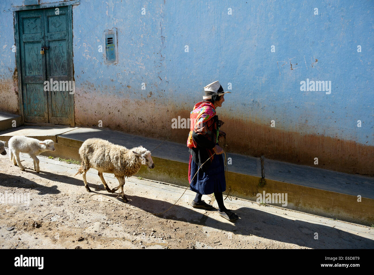 Peru, Huanuco Region, Chuquis, alte Frau zu Fuß mit Schaf und Lamm Stockfoto