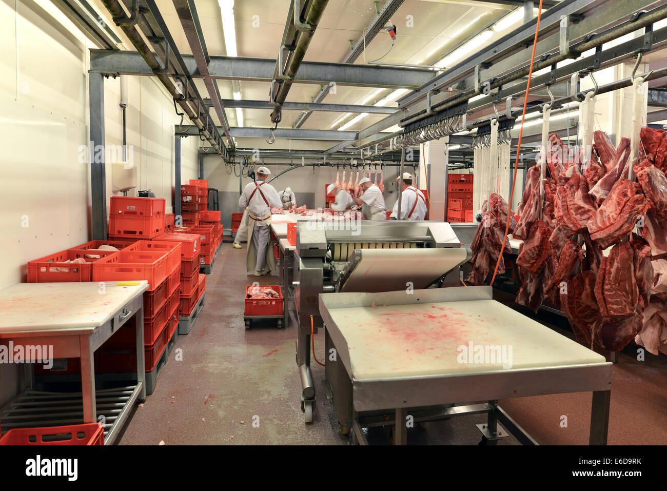 Deutschland, Sachsen-Anhalt, Verarbeitung von Schweinefleisch in einem