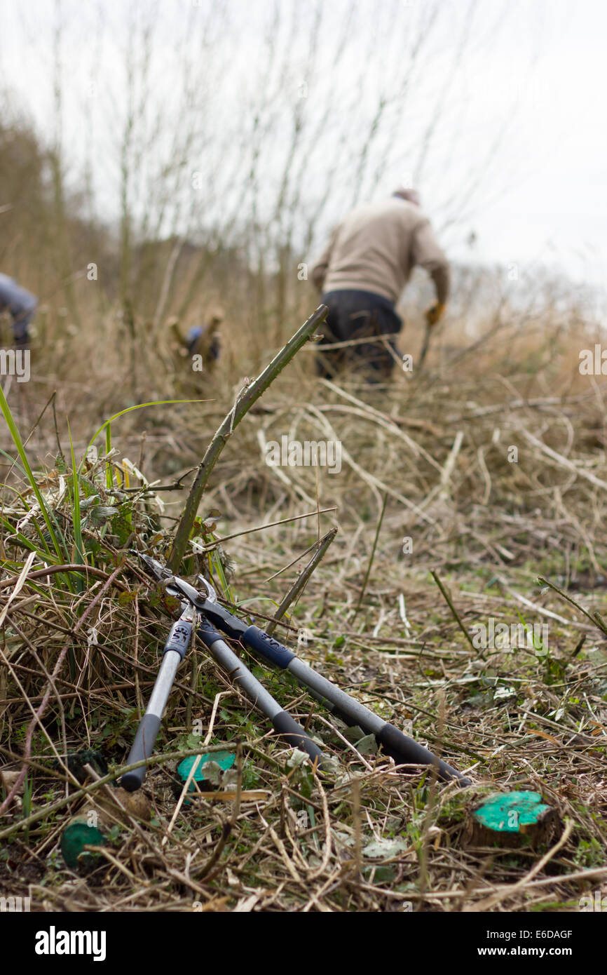 Freiwillige Niederwald Weide und Farbe Stümpfe mit einer Substanz, die nachwachsen verhindert um ein Feuchtgebiet, Tamwo zu erhalten Stockfoto