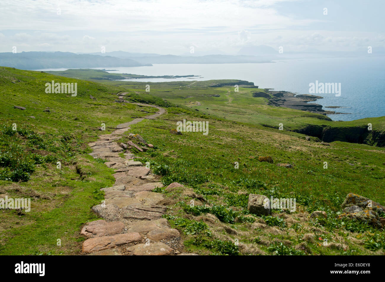 Fußweg auf der Westseite der Insel Handa, Sutherland, Schottland, UK Stockfoto