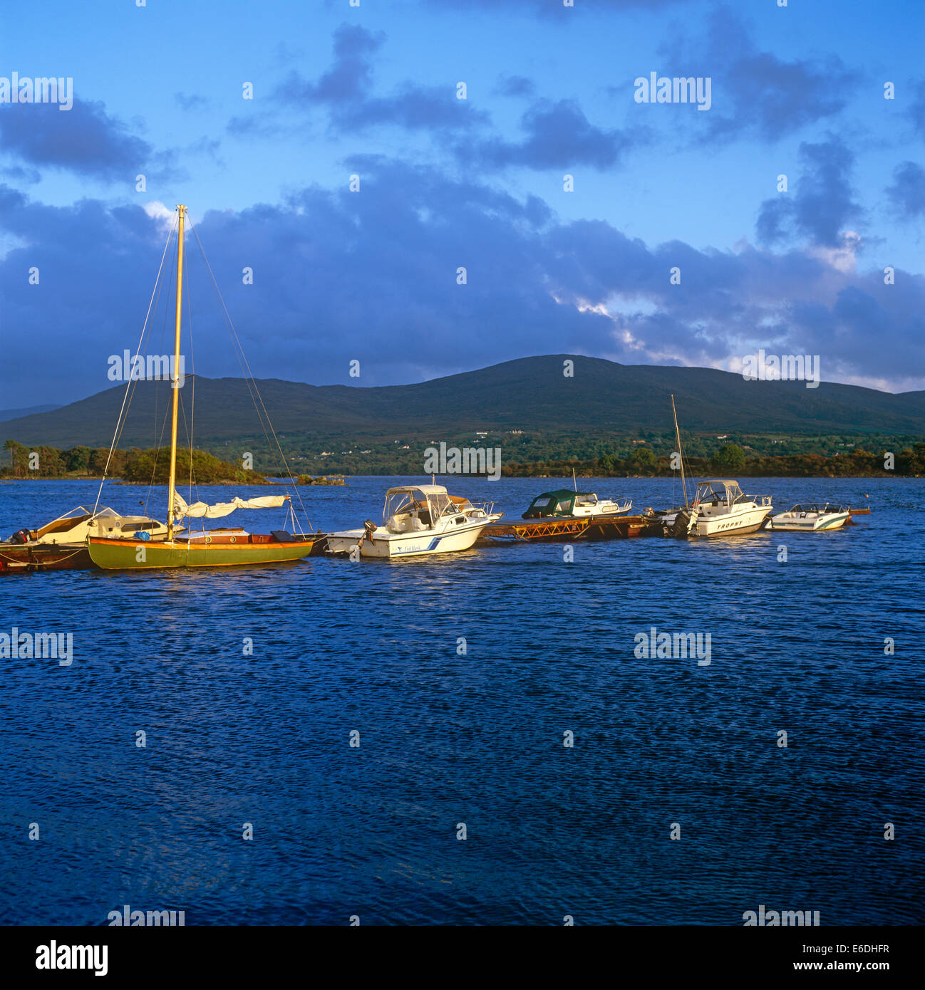 Kenmare River in der Nähe von Kenmare county Kerry Irland Stockfoto