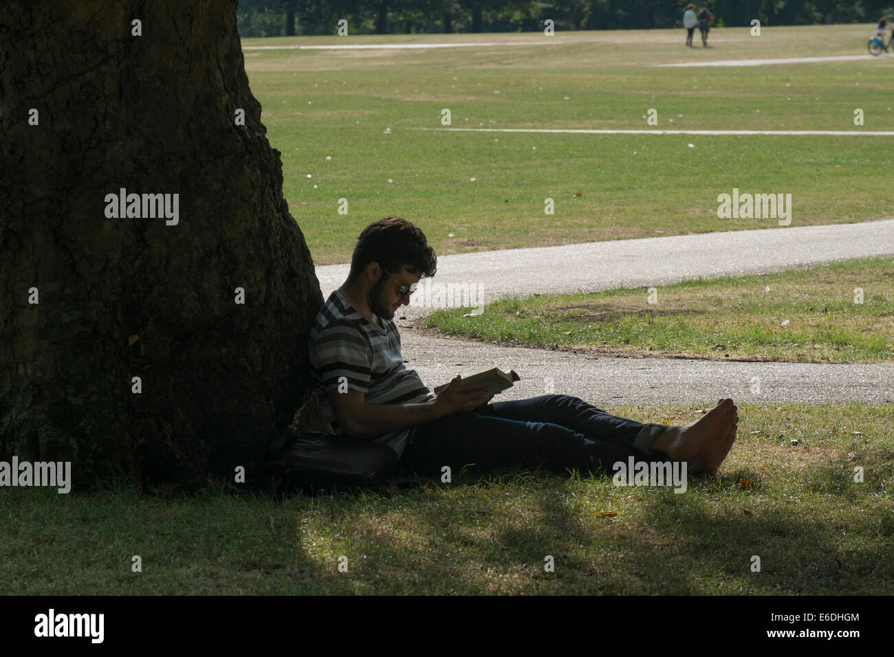 Silhouette-Bild von einem Mann ein Buch zu lesen, an einem warmen Sommern Nachmittag im Hyde Park London UK Stockfoto