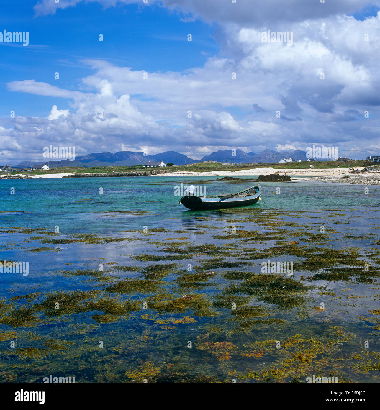 Unreifen County Galway Irland Stockfoto