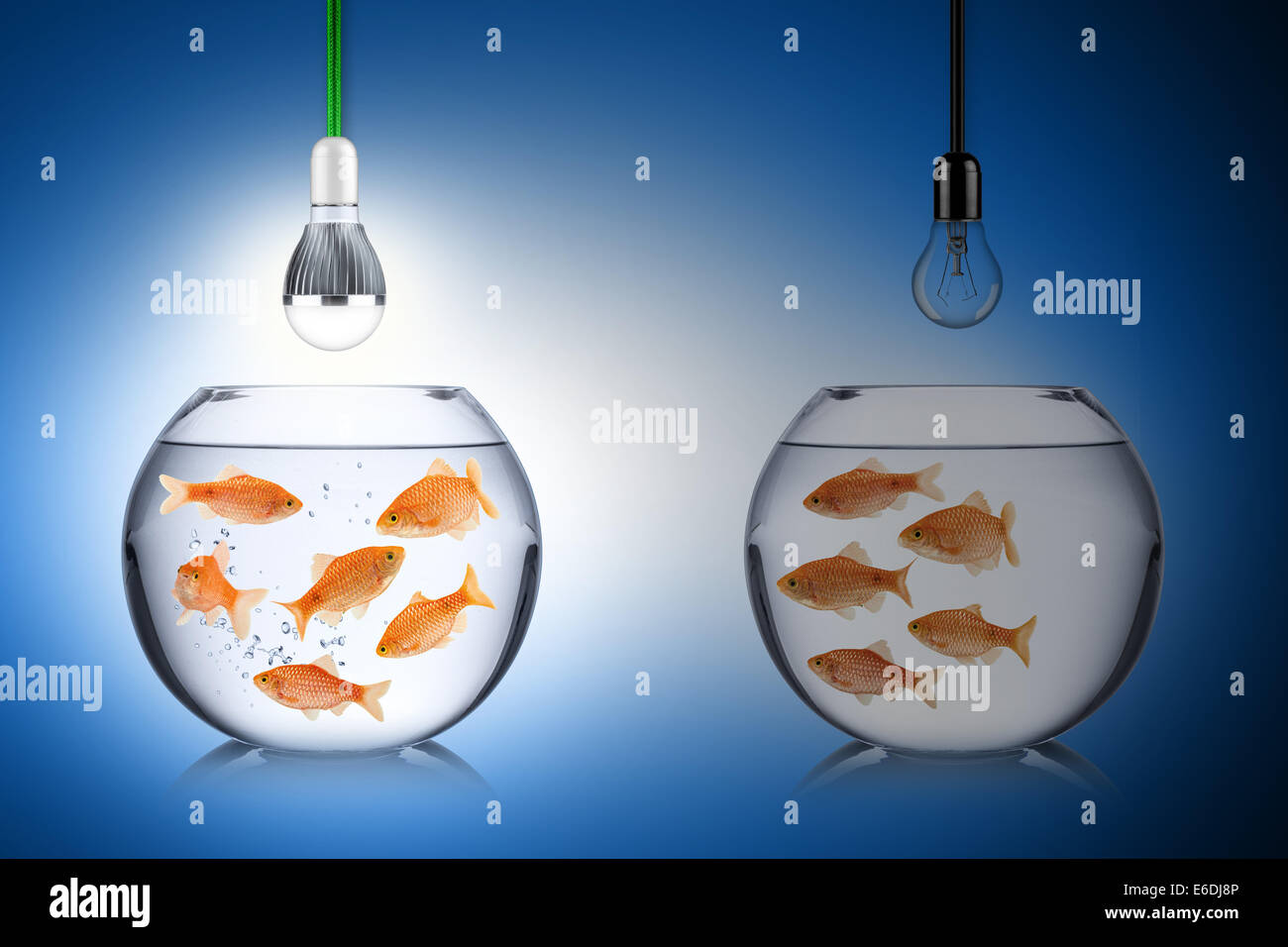 LED-Energiekonzept mit fishs Stockfoto