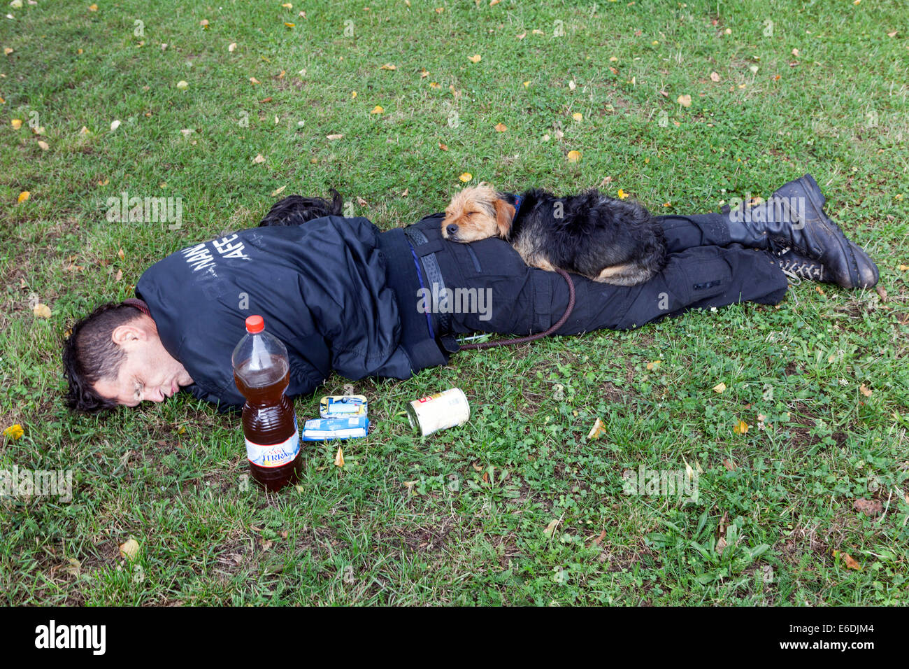 Schlafender betrunkener Mann, Hundefreundschaft, betrunkener Schlaf, Mann und Hundefreunde Paar Stockfoto