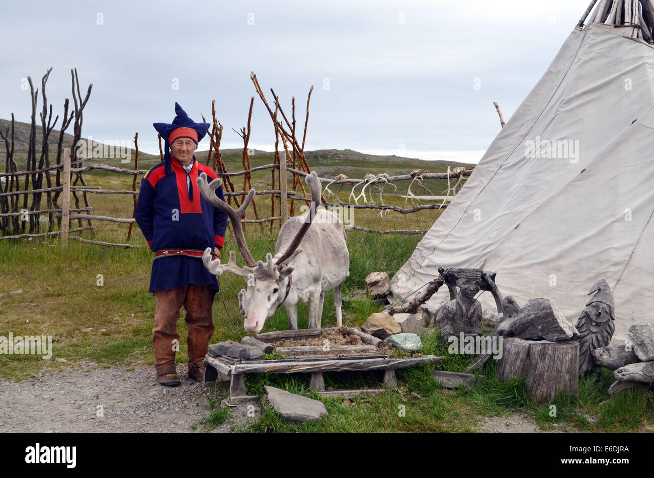 Honnigsvag, The Sami Leute leben wie Nomaden mit ihren Hirsche ganzjährig. Das Volk der Samen mit ihren Hirsche leben. Stockfoto