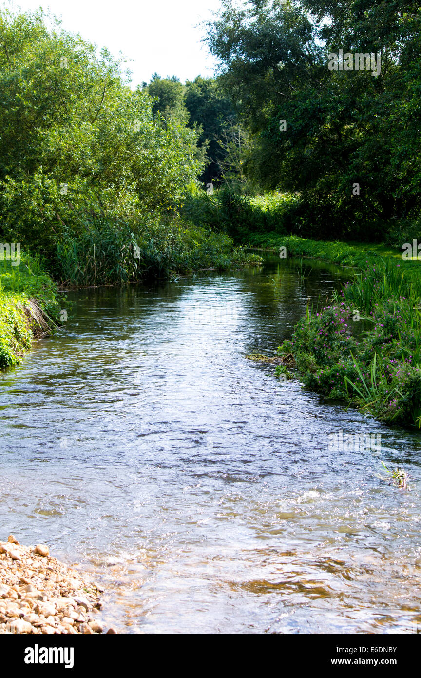 Wunderschöner See durch Naturpark in North Norfolk. Stockfoto