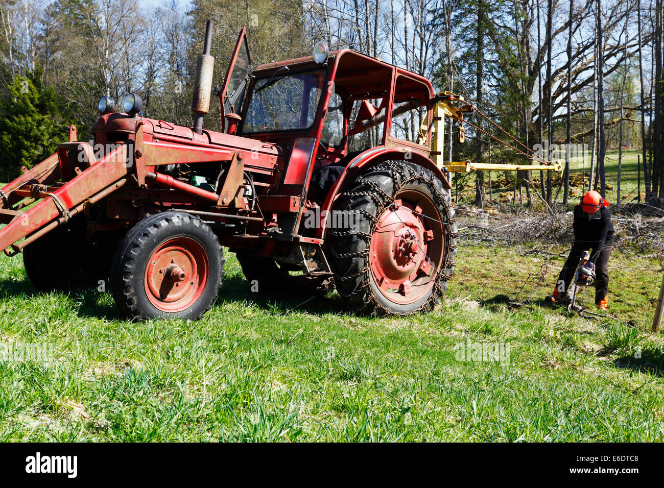 Holzfäller arbeiten mit Kettensäge Stockfoto