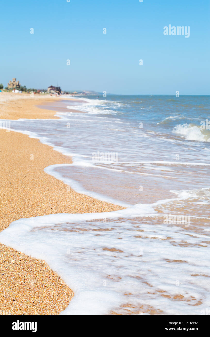 Sand und Muscheln Strand des Meeres von Azov in Resort Golubickaya, Taman-Halbinsel, Russland Stockfoto
