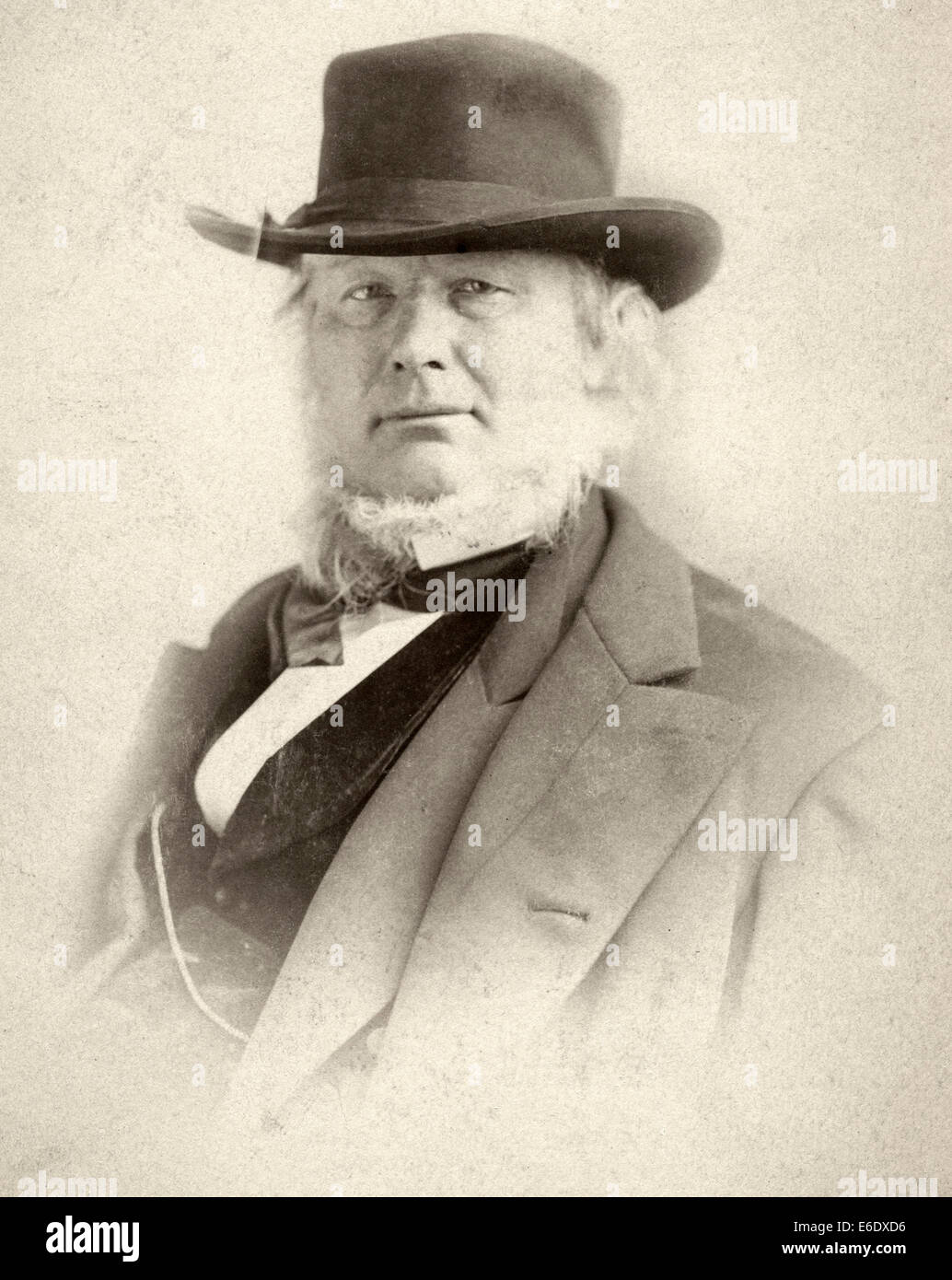 Horace Greeley (1811-1872), amerikanischer Redakteur und Politiker, Porträt, um 1870 Stockfoto