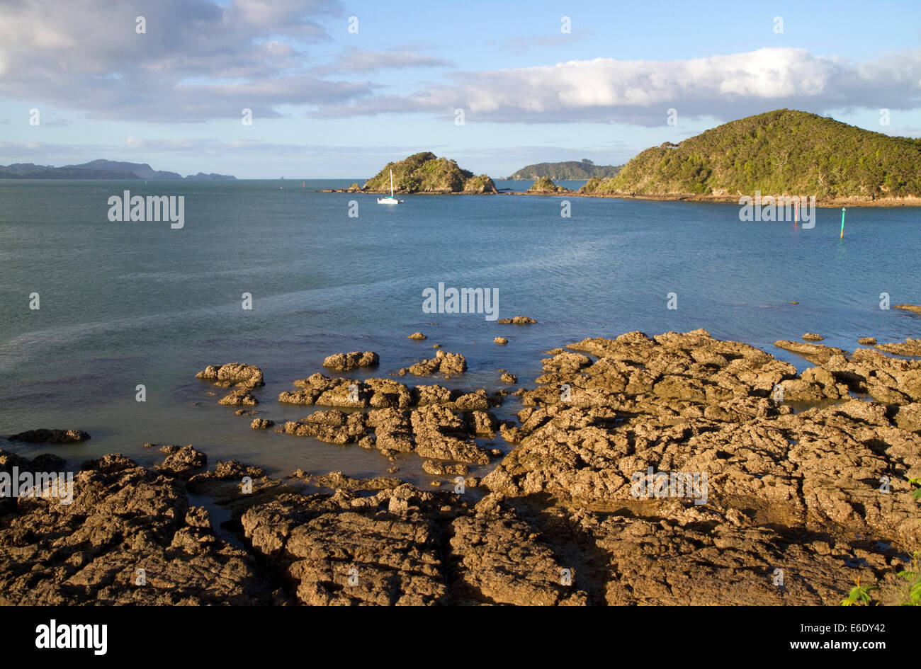 Der felsigen Küste von Bay Insel, Nordinsel, Neuseeland. Stockfoto