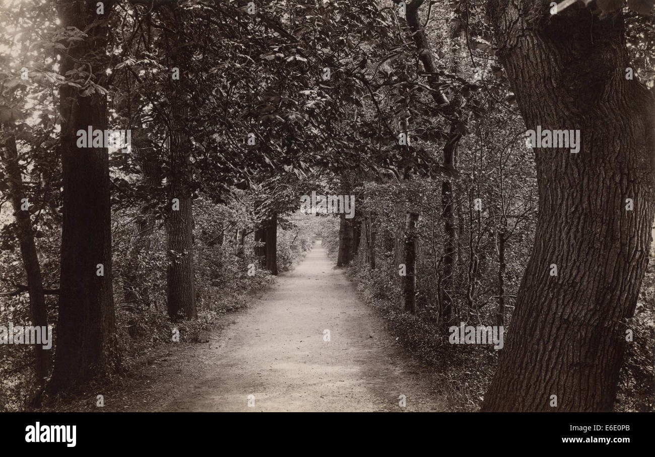 Addison Spaziergang, Magdalen College, Oxford, von g.w. Wilson, c1899. (Website eines berühmten CS Lewis und Tolkien Gesprächs im Jahre 1931) UK Stockfoto