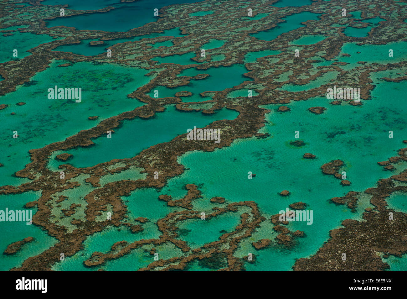 Luftaufnahme des Great Barrier Reef, UNESCO-Weltkulturerbe, Queensland, Australien Stockfoto