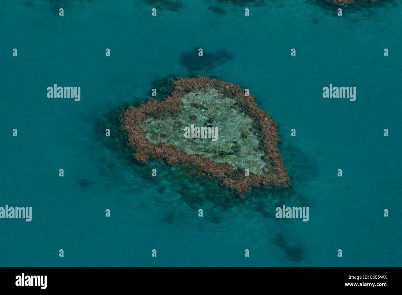 Luftaufnahme, Heart Reef, Queensland, Australien, Great Barrier Reef, UNESCO-Weltkulturerbe Stockfoto
