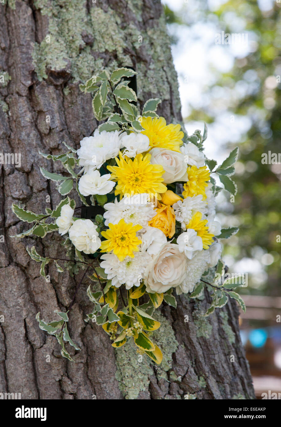 Hochzeitsblumen an einem Baumstamm Stockfoto