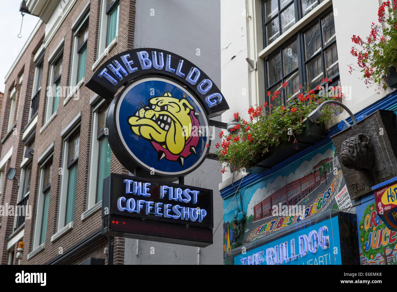 Ortseingangsschild und das Logo der "Bulldog", der erste Coffee-Shop (Verkauf von weichen Drogen) von Amsterdam in den Niederlanden. Stockfoto
