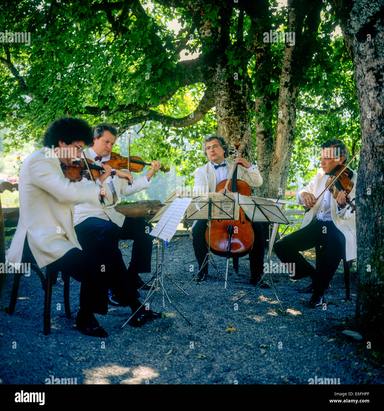 Klassische Streichquartett Musiker Morzine Savoy Französische Alpen Frankreich Europa Stockfoto