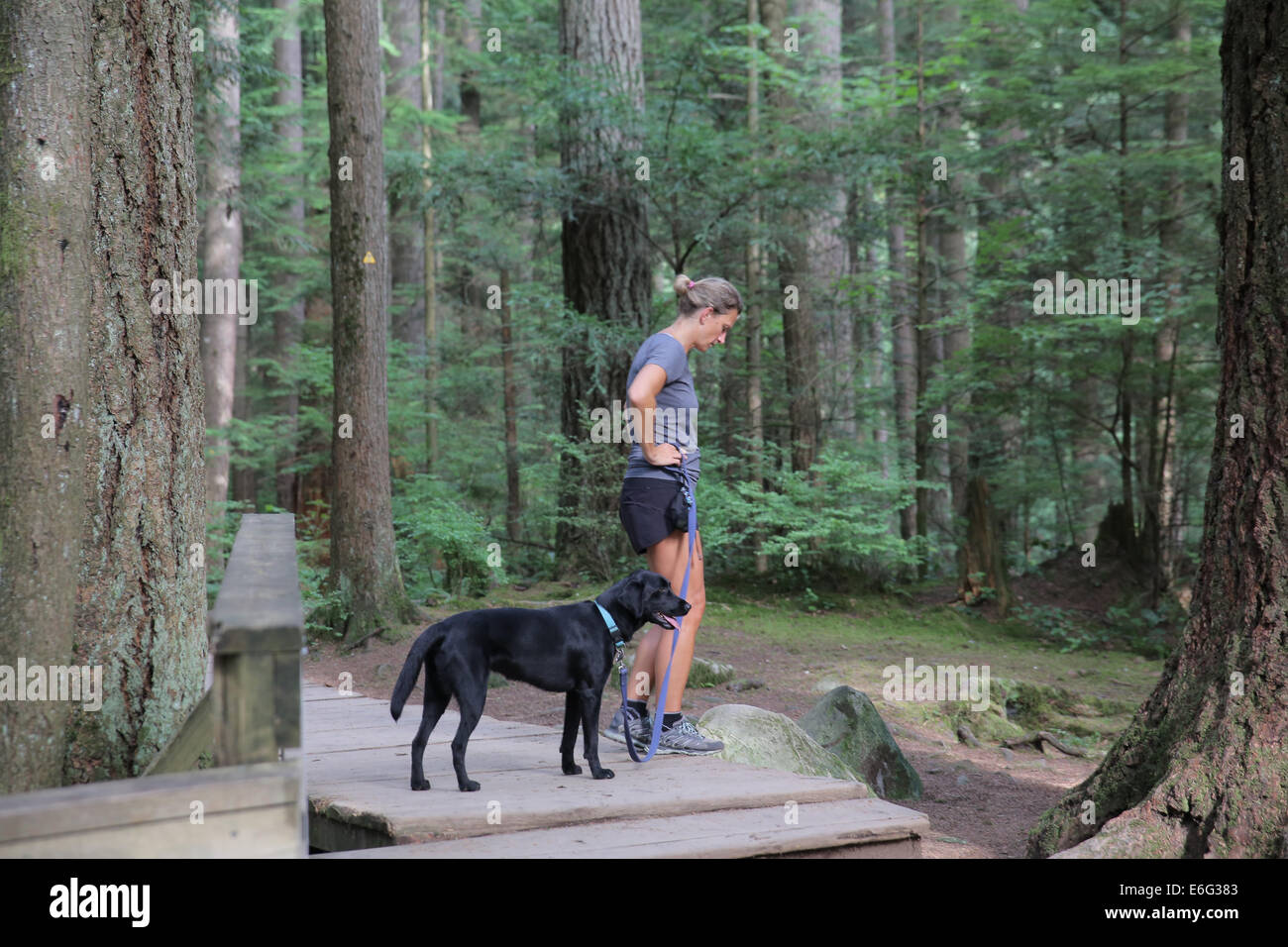 Frau zu Fuß Hund Wald Natur im freien weißen weiblichen gesunden aktiven Lebensstil Stockfoto
