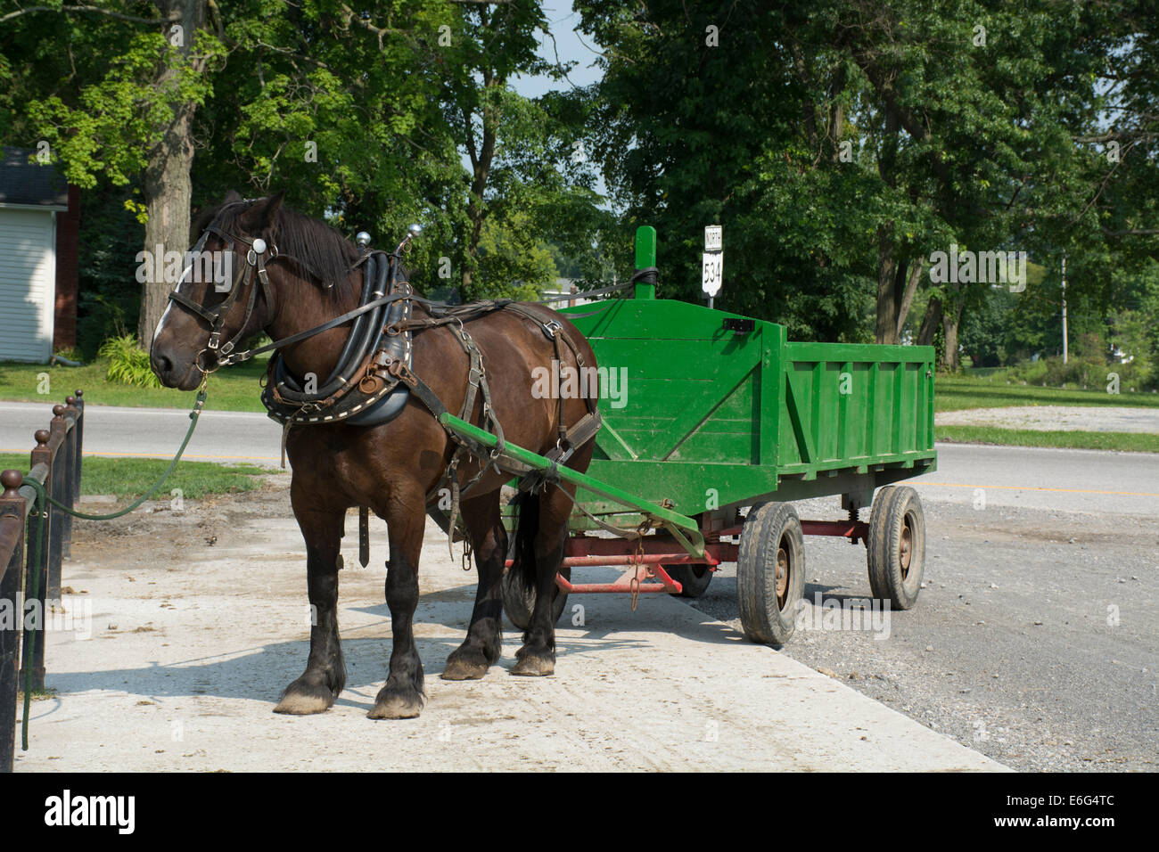 Geauga County, Ohio Mesopotamien. Typischen Amish Pferd Wagen. Stockfoto