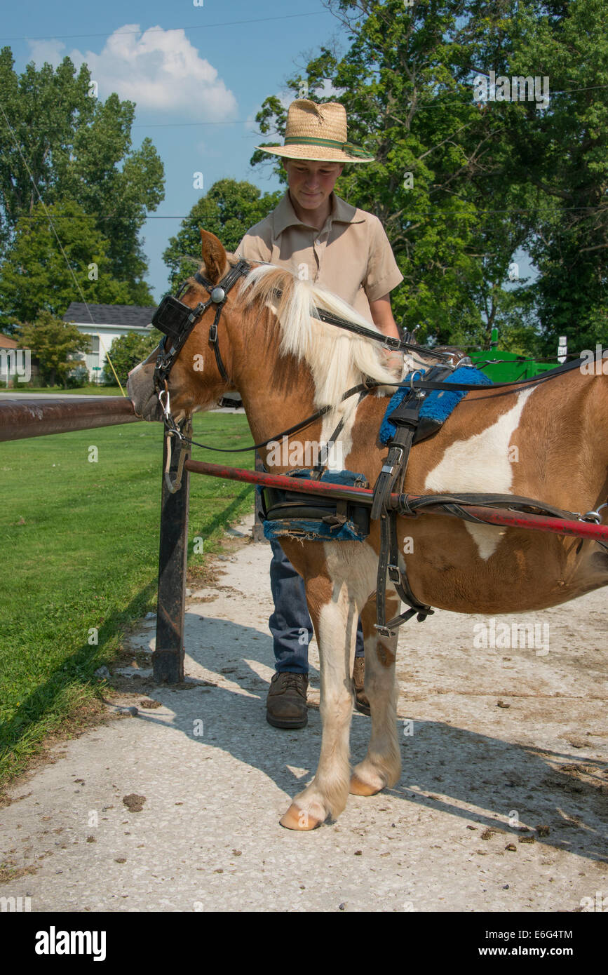 Geauga County, Ohio Mesopotamien. Typische amischen jungen in traditioneller Kleidung mit Karre und Pinto Pony "Queenie." Stockfoto