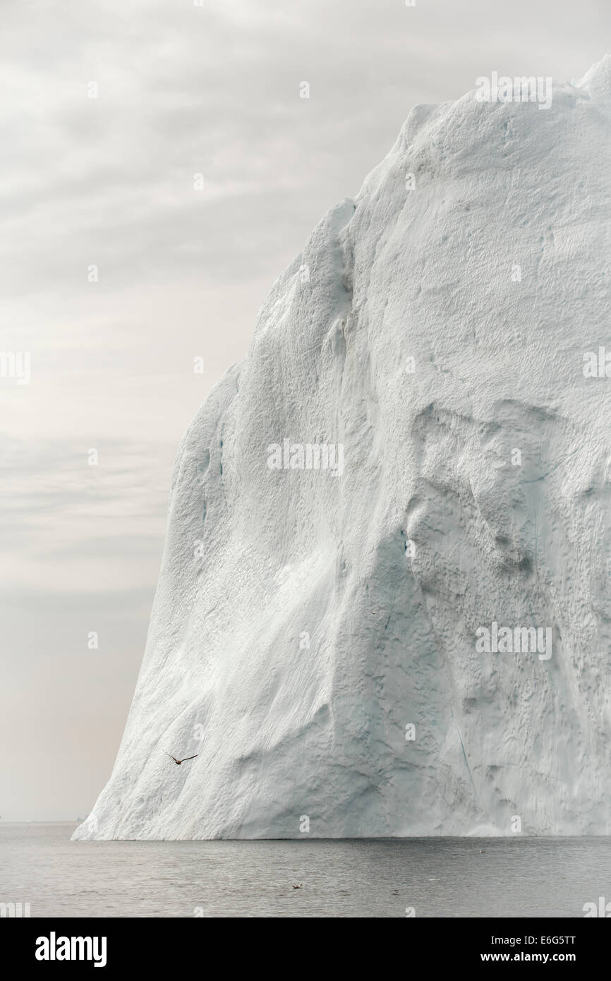 Fulmar vor Eisberg Stockfoto