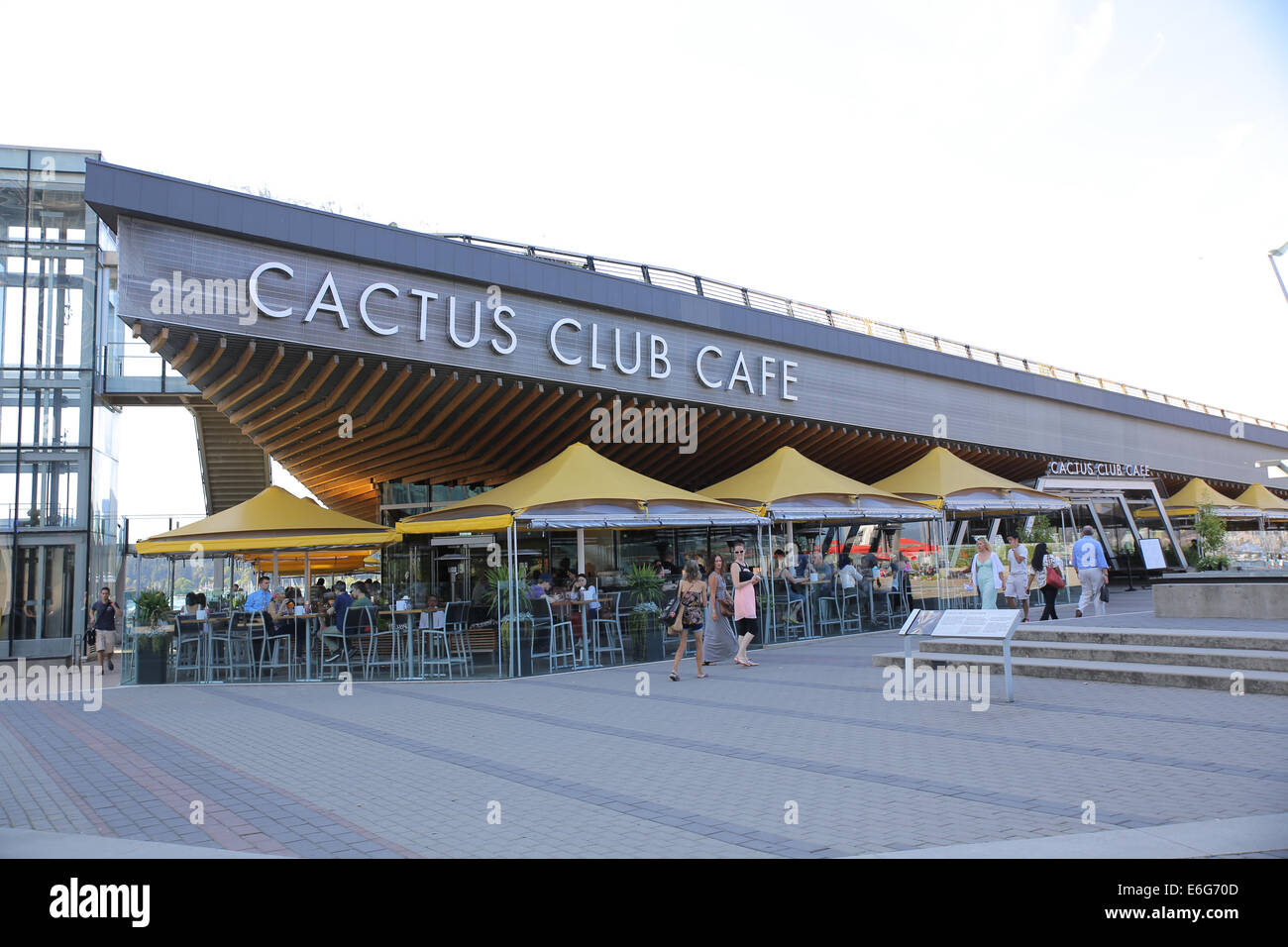 Kaktus club caf -Fotos und -Bildmaterial in hoher Auflsung  Alamy