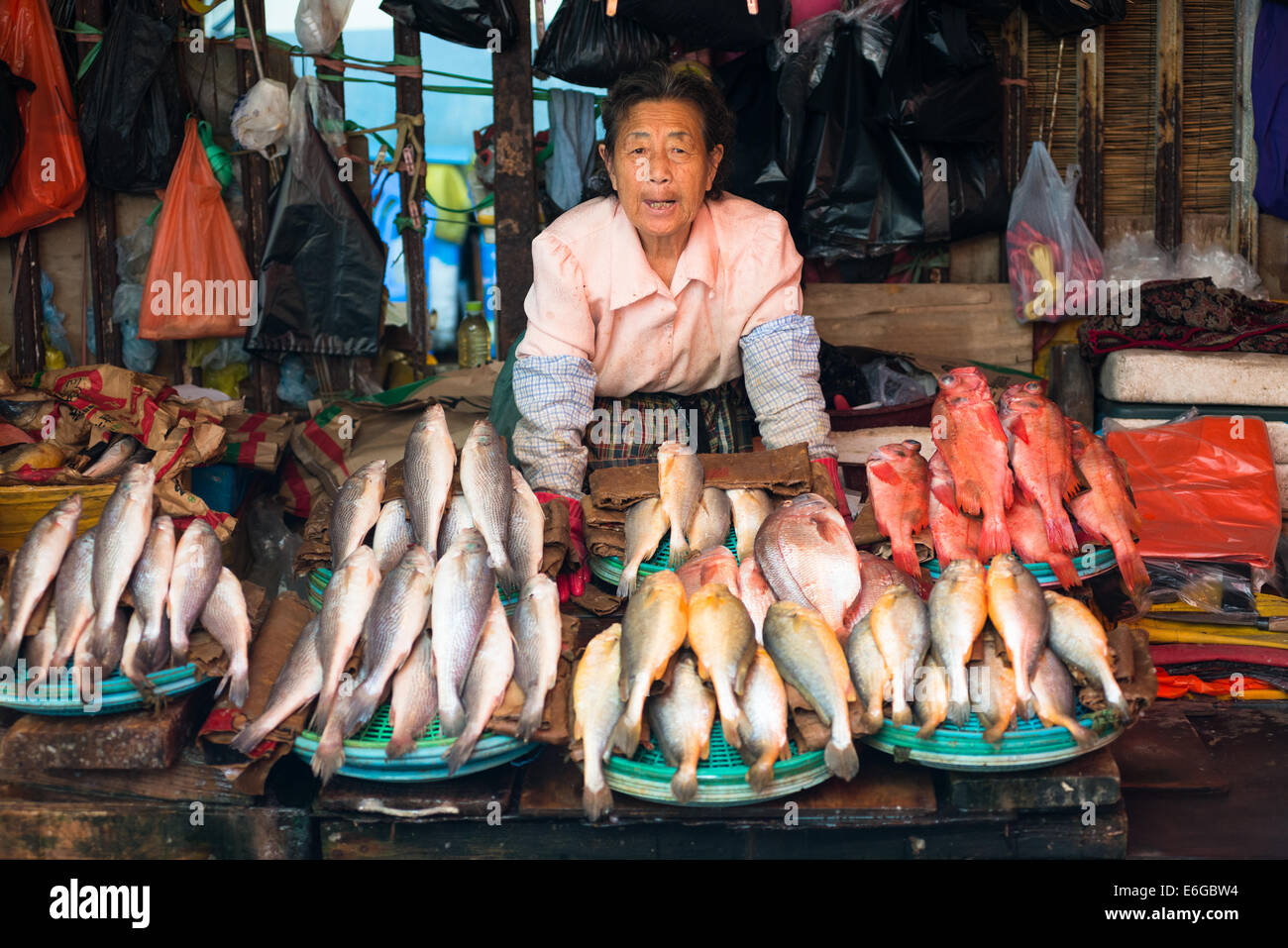 Fisch zum Verkauf an Jagalchi Fischmarkt, Busan, Südkorea. Stockfoto