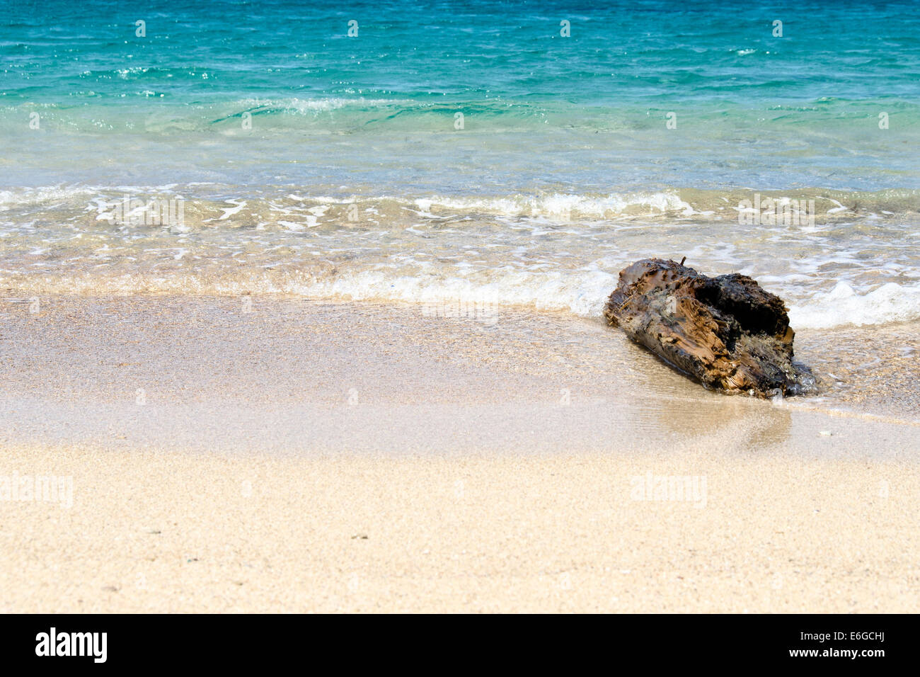 einem tropischen und schönes Meer Stockfoto