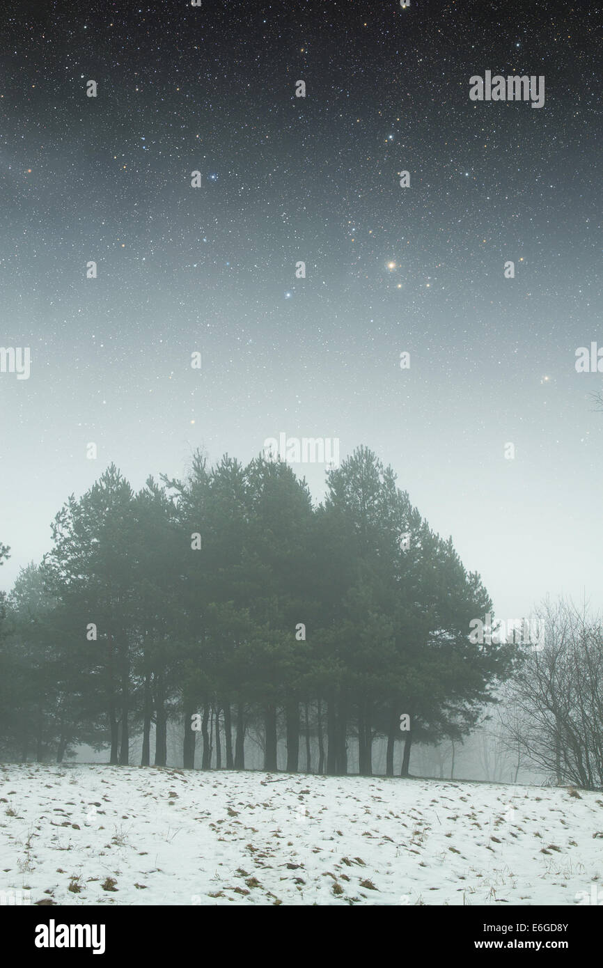 Winternacht im Park. Elemente dieses Bildes, eingerichtet von der NASA Stockfoto