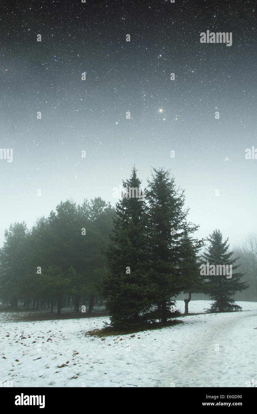 Winternacht im Park. Elemente dieses Bildes, eingerichtet von der NASA Stockfoto