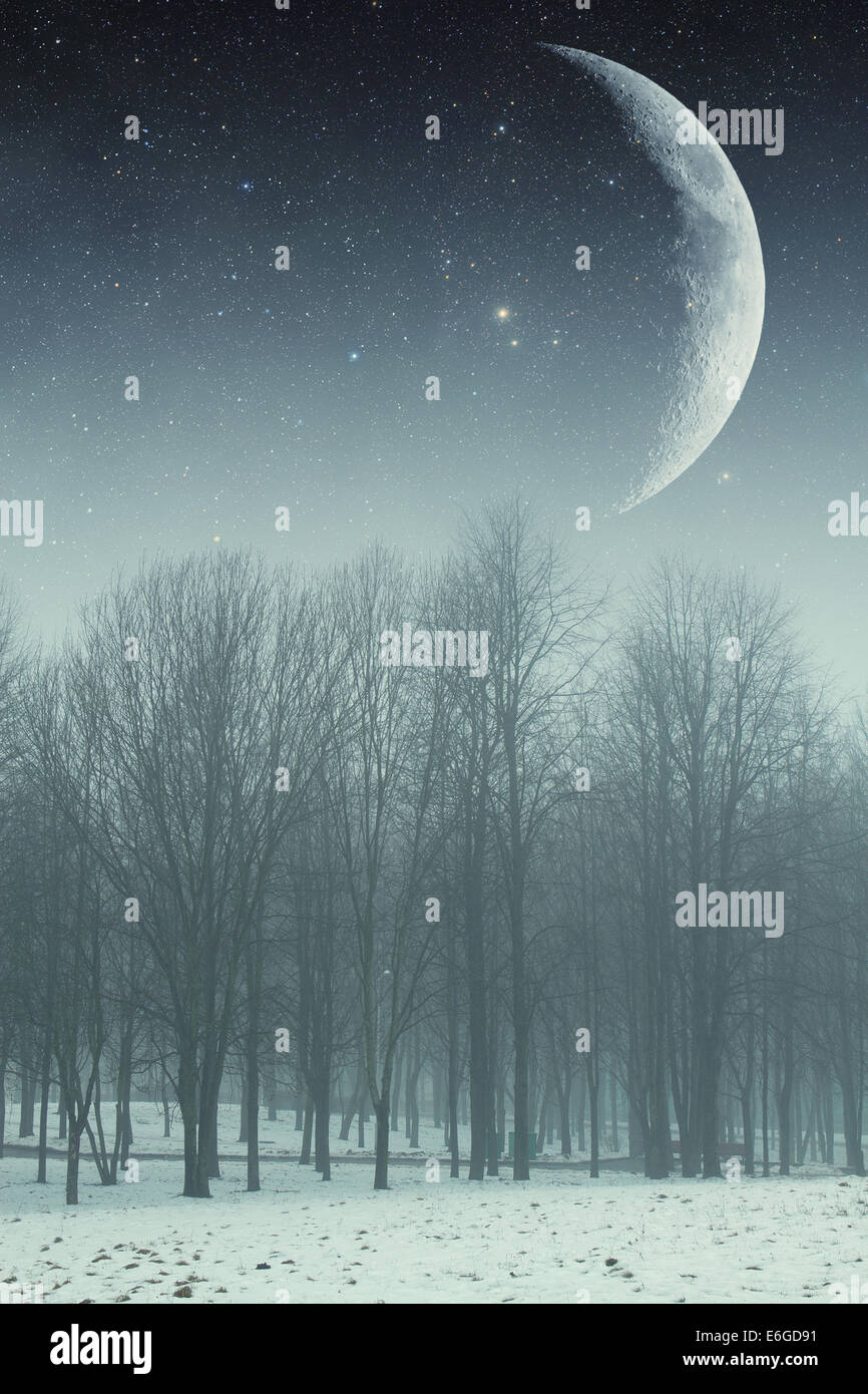 Winternacht im Park. Elemente dieses Bildes, eingerichtet von der NASA Stockfoto